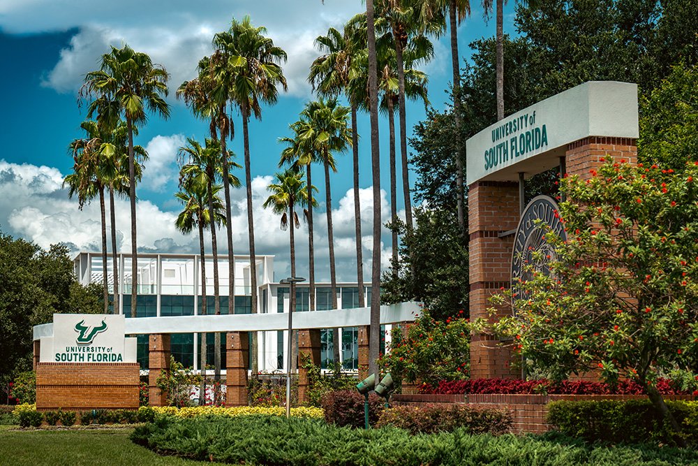 University of South Florida campus entrance sign with palm trees